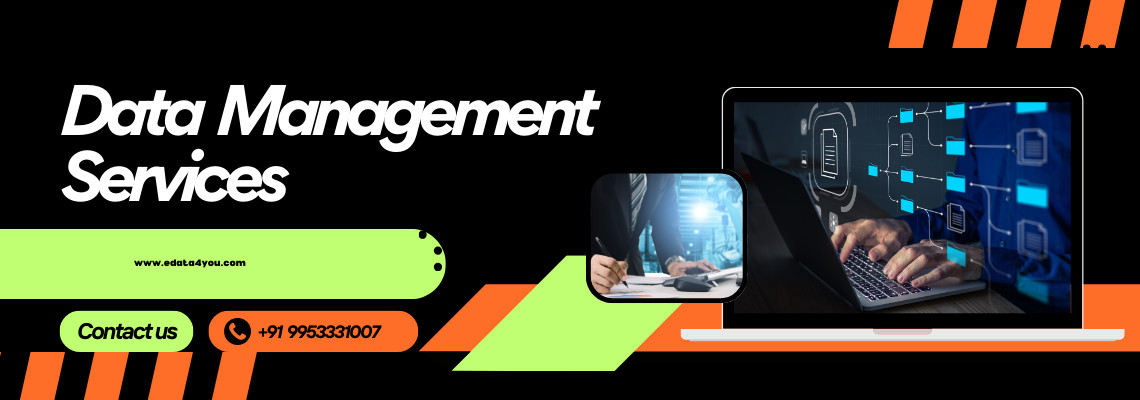 Finance Data Services