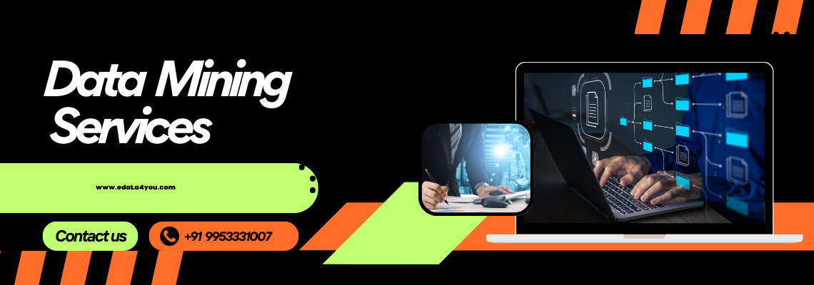 Data Mining Services