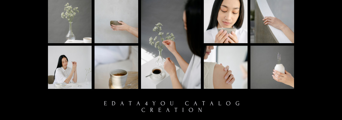 Catalog Content Production