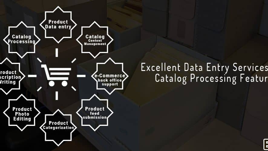 Excellent Data Entry Services With Catalog Processing Features