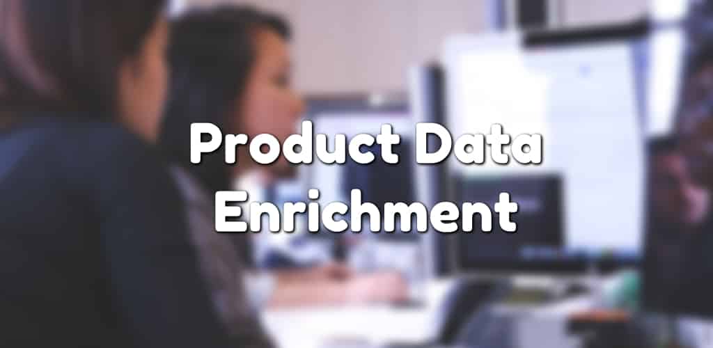 Data Enrichment Service
