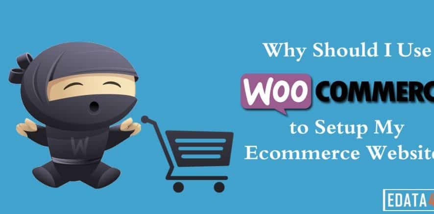 Why Should I Use WooCommerce to Setup My eCommerce Website?