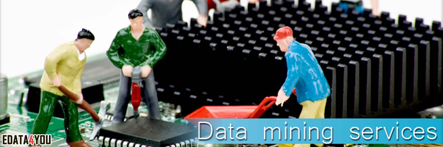 data mining services